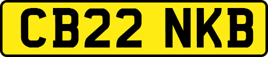 CB22NKB