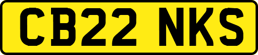 CB22NKS