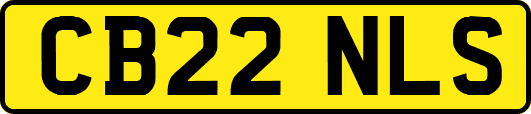 CB22NLS
