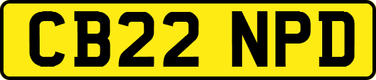 CB22NPD