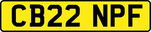 CB22NPF