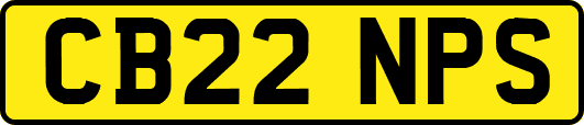 CB22NPS