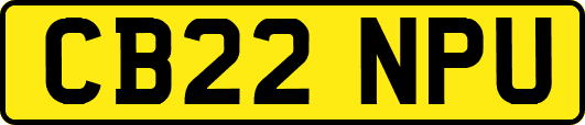 CB22NPU