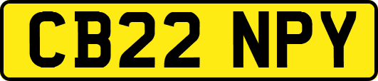 CB22NPY