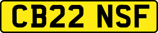 CB22NSF