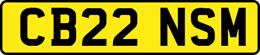 CB22NSM