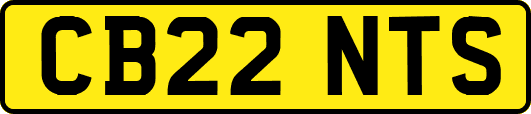 CB22NTS
