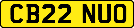 CB22NUO