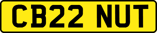 CB22NUT
