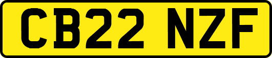 CB22NZF