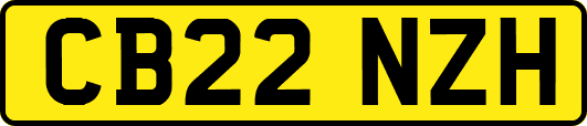 CB22NZH