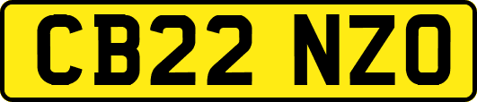 CB22NZO