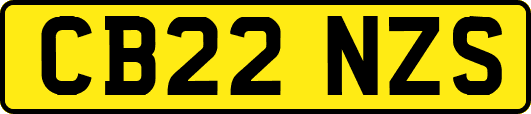 CB22NZS