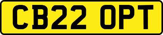 CB22OPT