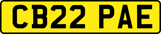 CB22PAE