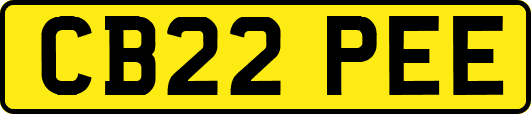 CB22PEE