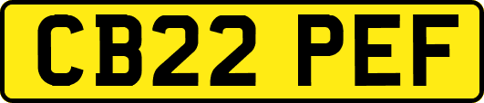 CB22PEF