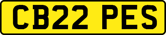 CB22PES