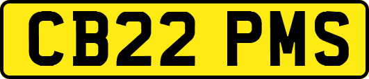 CB22PMS