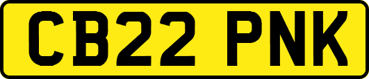 CB22PNK