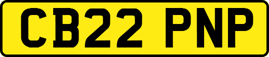 CB22PNP