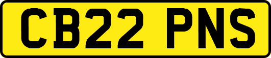 CB22PNS