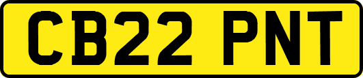 CB22PNT