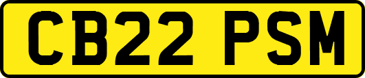 CB22PSM