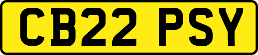 CB22PSY