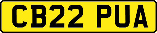 CB22PUA