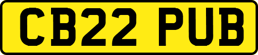 CB22PUB