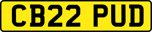CB22PUD