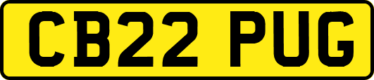 CB22PUG