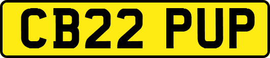 CB22PUP