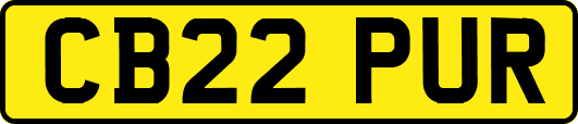 CB22PUR