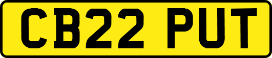 CB22PUT