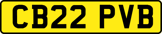 CB22PVB