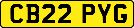 CB22PYG