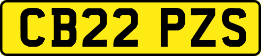CB22PZS