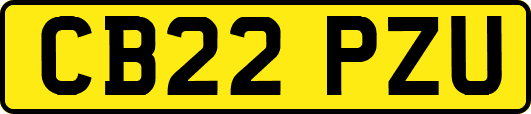 CB22PZU