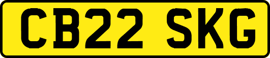 CB22SKG