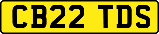 CB22TDS