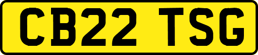 CB22TSG
