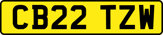 CB22TZW