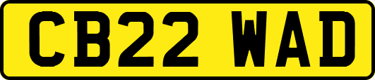 CB22WAD