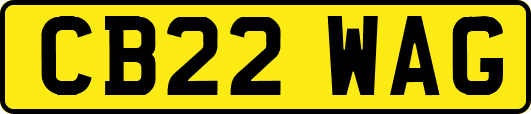 CB22WAG
