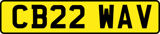 CB22WAV