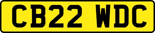 CB22WDC