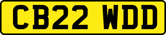 CB22WDD