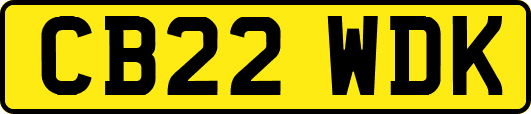CB22WDK